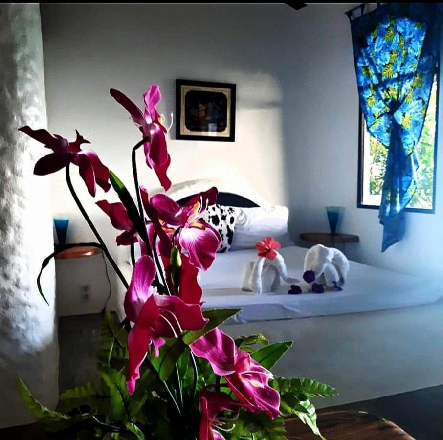 Kim'S Garden Villa Anda  Kültér fotó