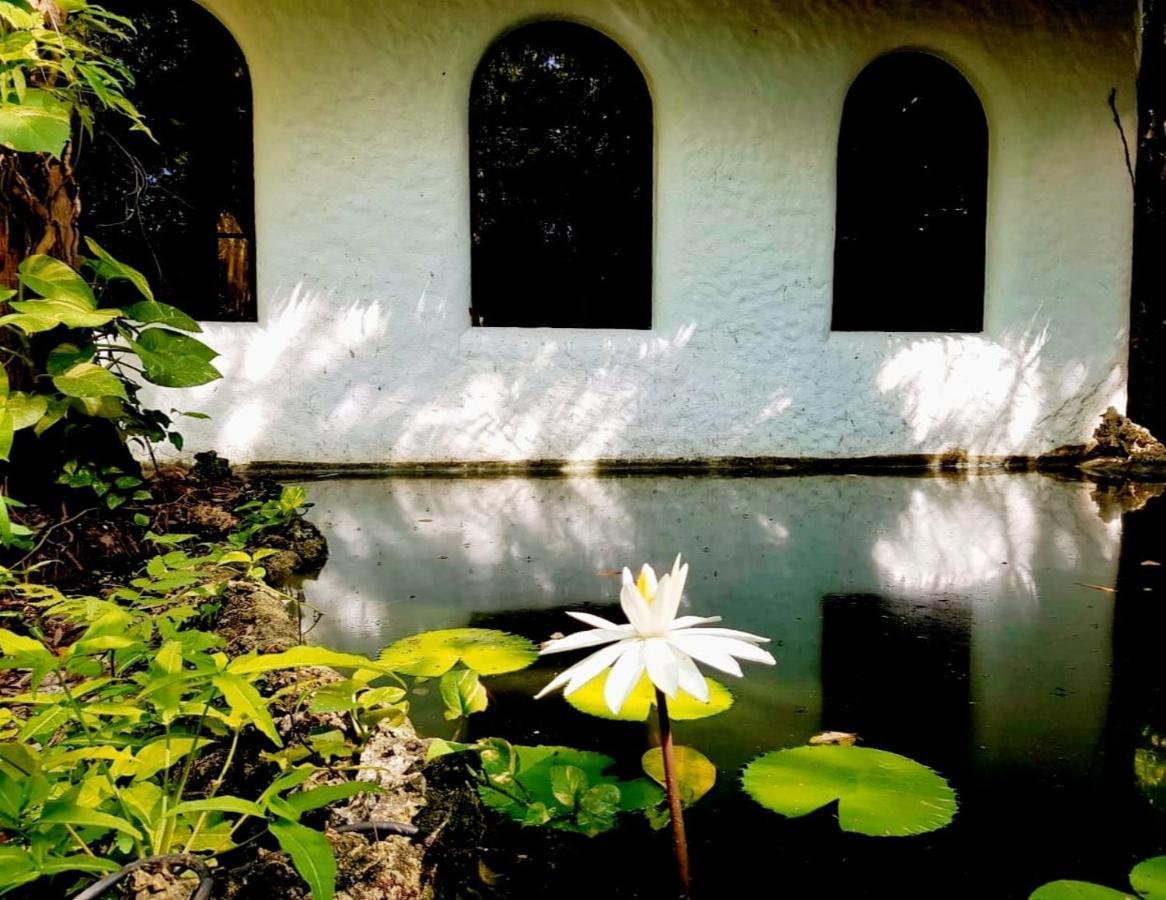 Kim'S Garden Villa Anda  Kültér fotó