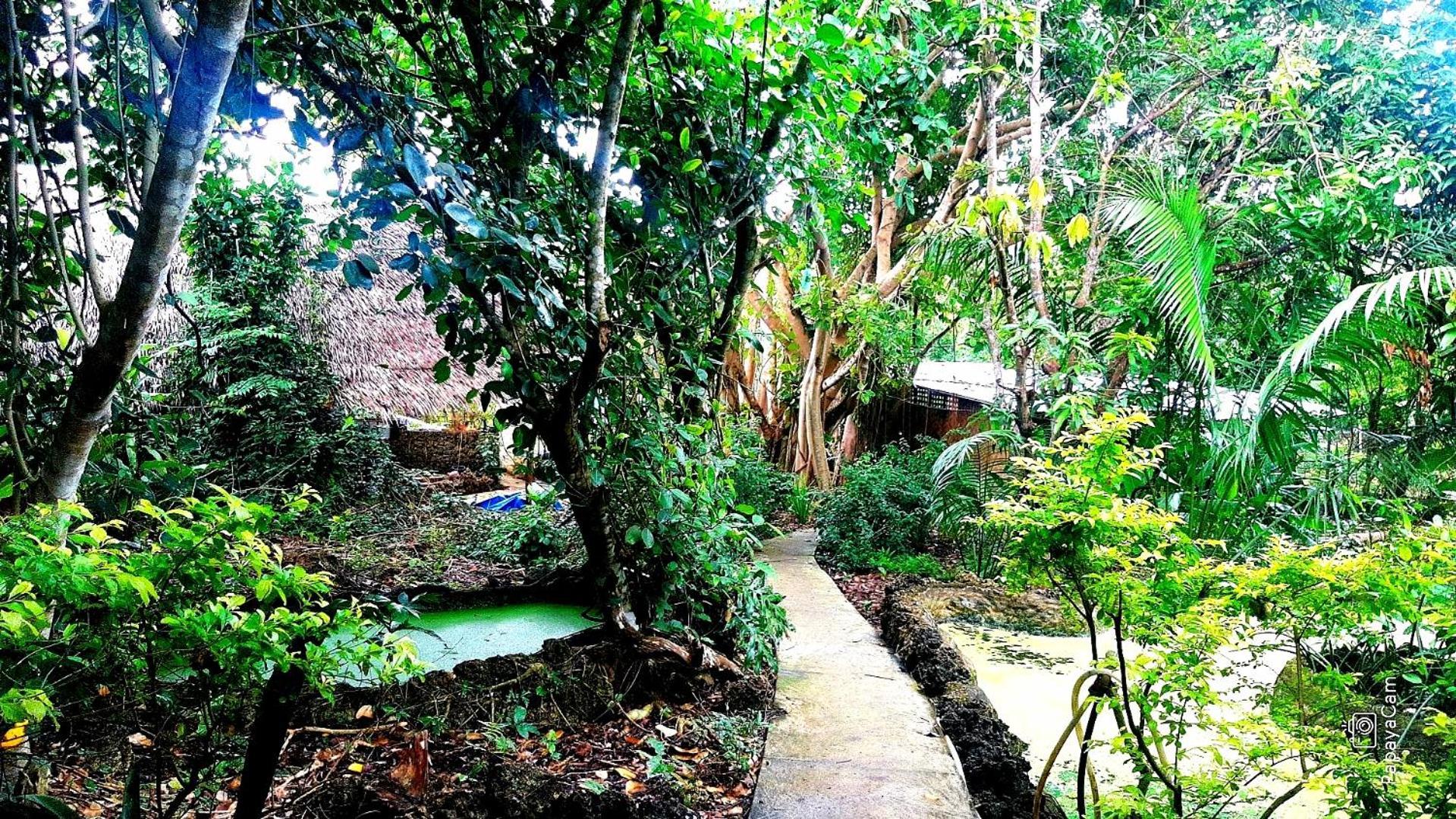 Kim'S Garden Villa Anda  Kültér fotó